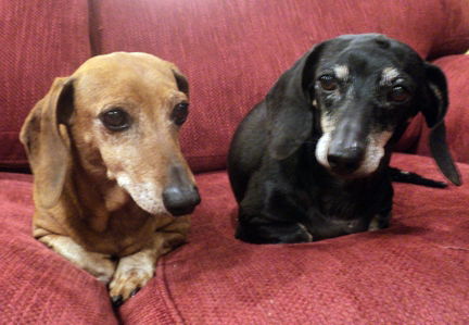 Charlie and Angel