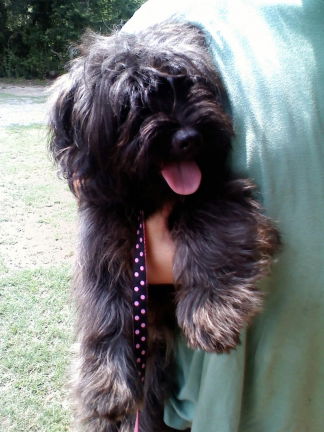 Skippy (Noonie)