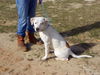 Mallie