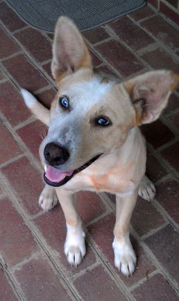 Juliette
