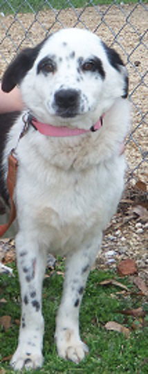 Miss Ellie