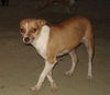Thelma