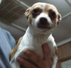 Thelma