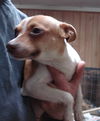 Thelma