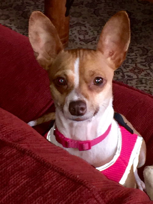 Thelma