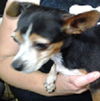 Charlie