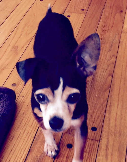 Charlie