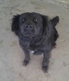 Susie