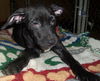 Ryker