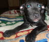 Ryker
