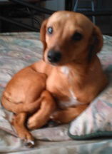 Mason