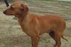 Mason