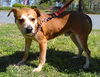 Doby