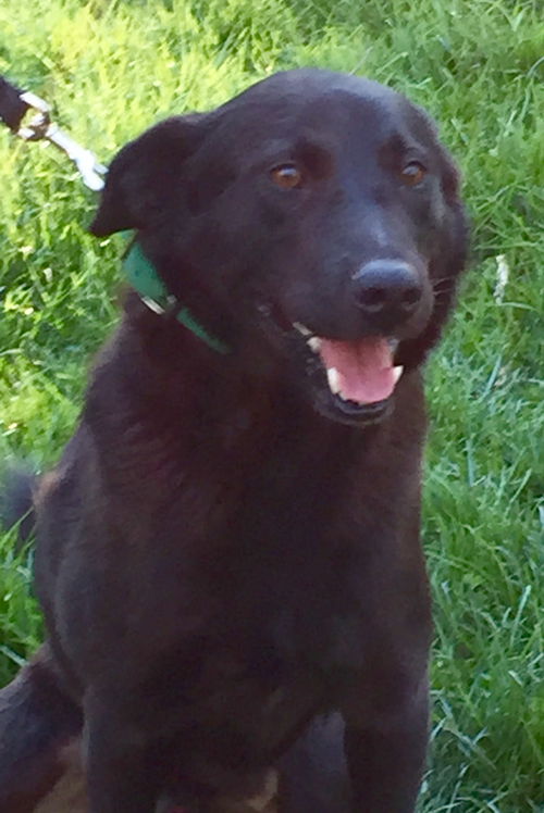 Max