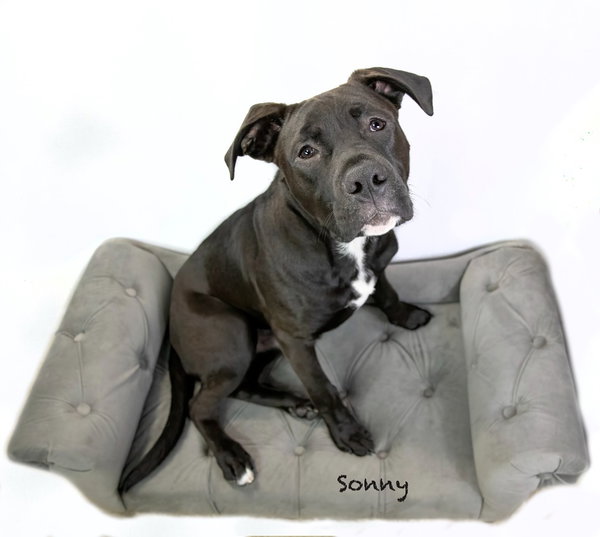 Sonny