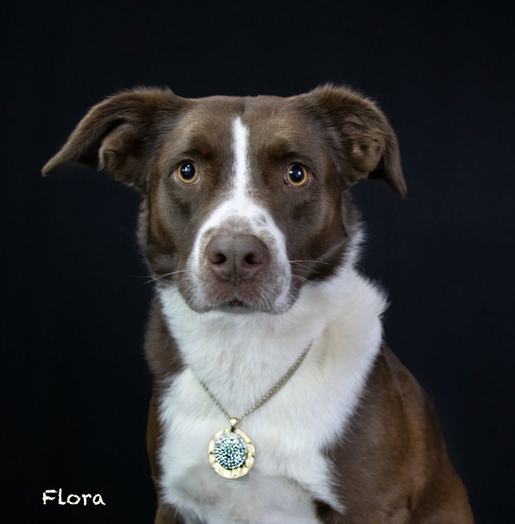 Flora