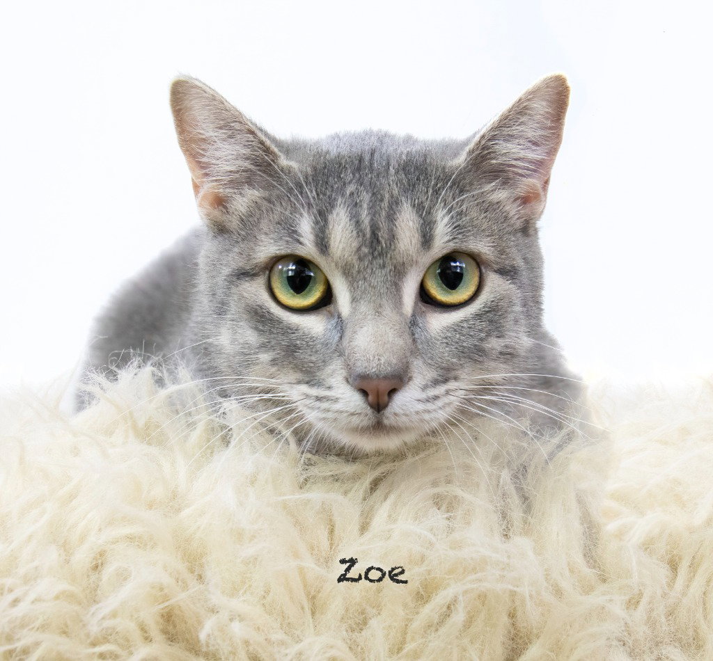 Zoe