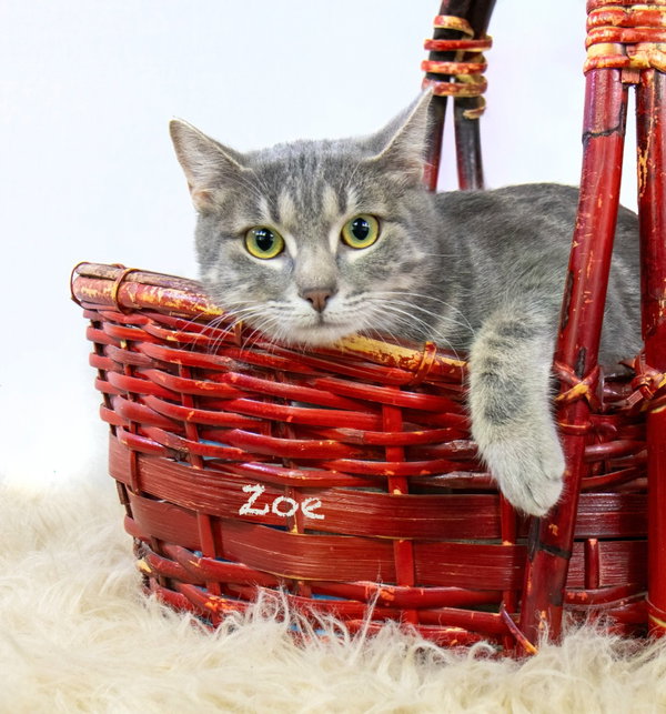 Zoe