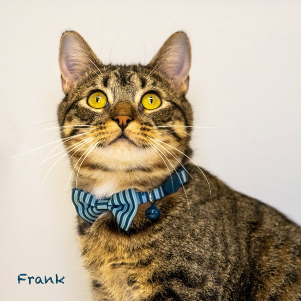 Frank