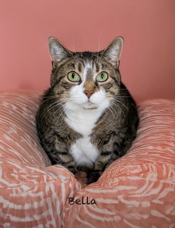Bella
