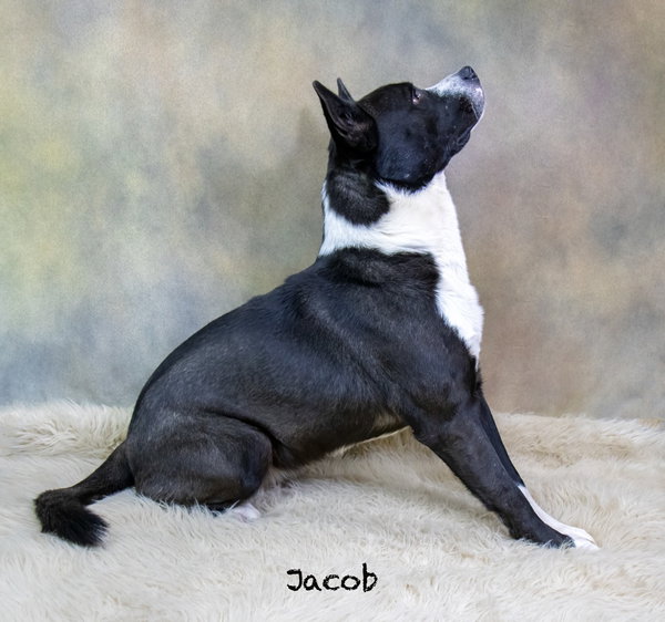 Jacob