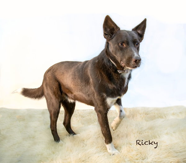 Ricky