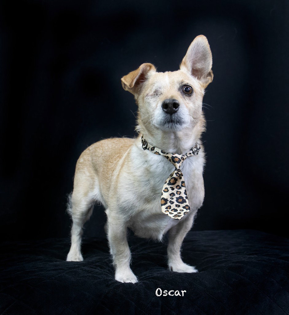 Oscar