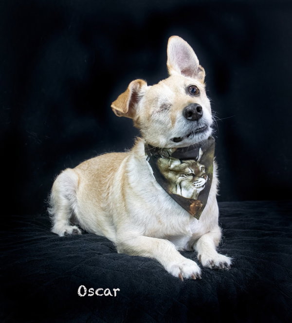 Oscar