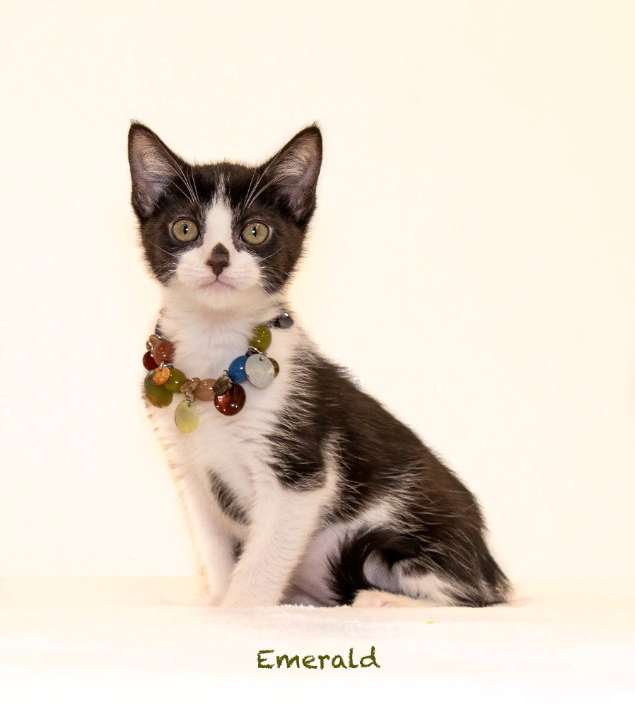Emerald