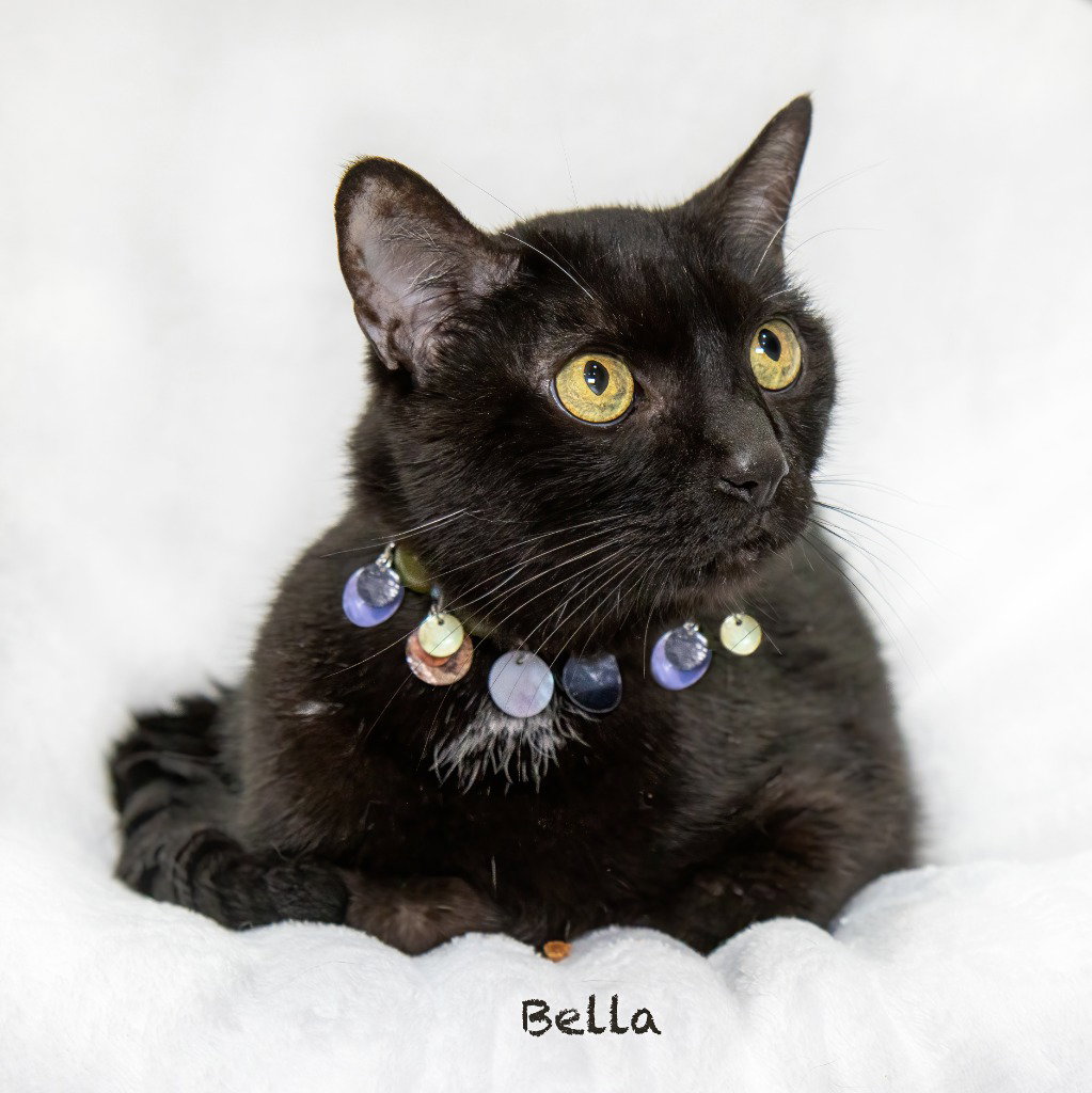 Bella