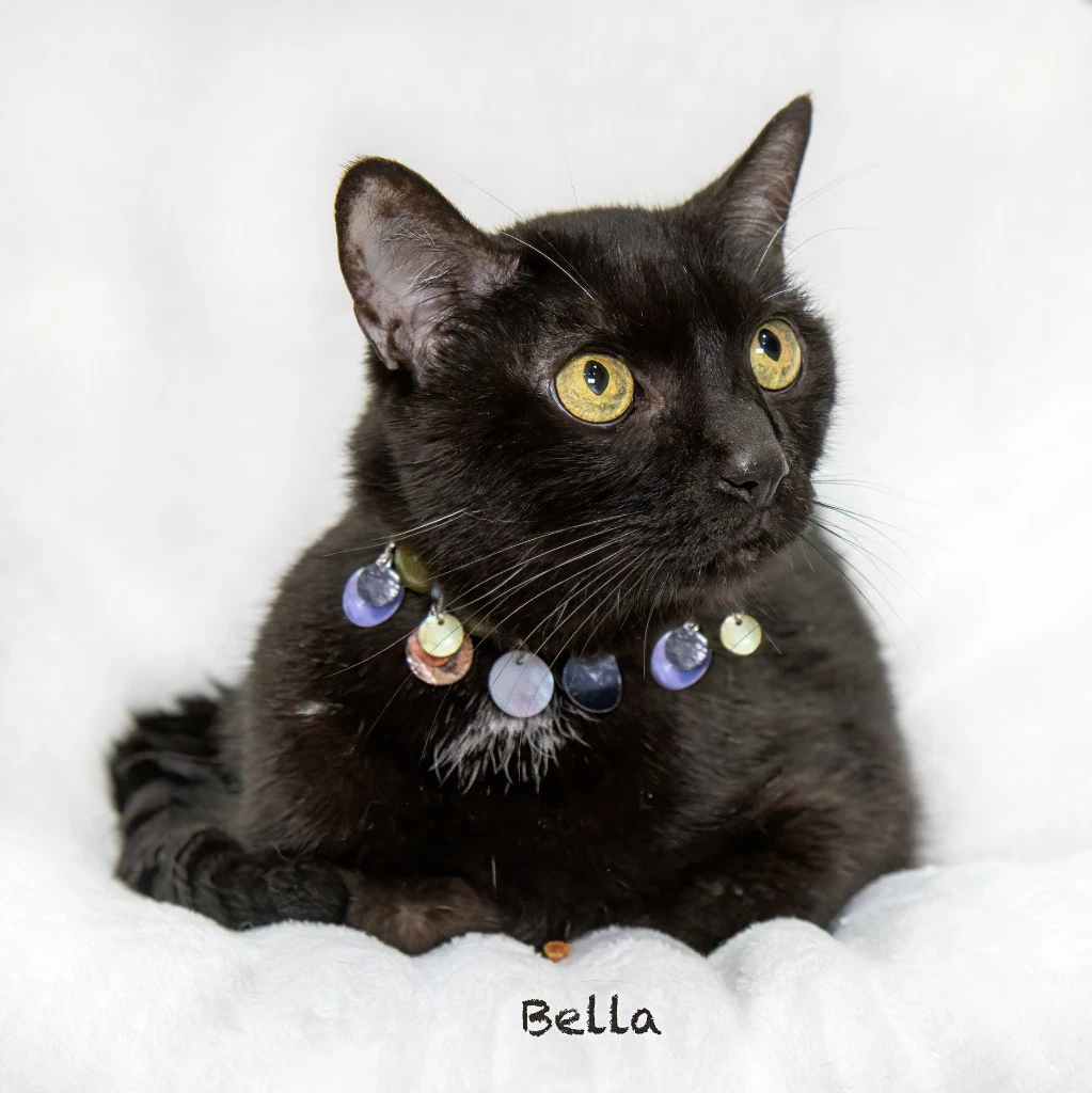 Bella