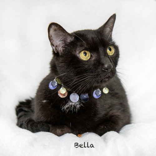 Bella
