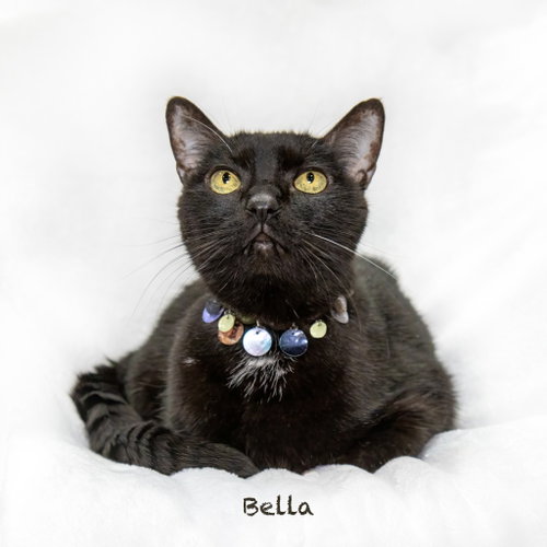 Bella photo 2
