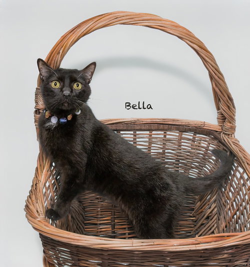 Bella photo 3