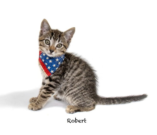 Robert
