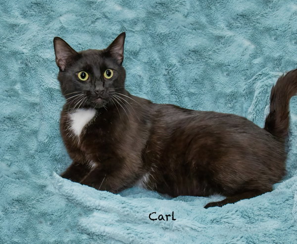 Carl