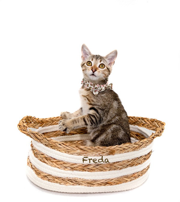 Freda