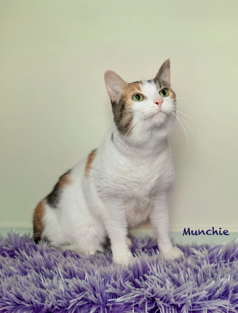 Munchie