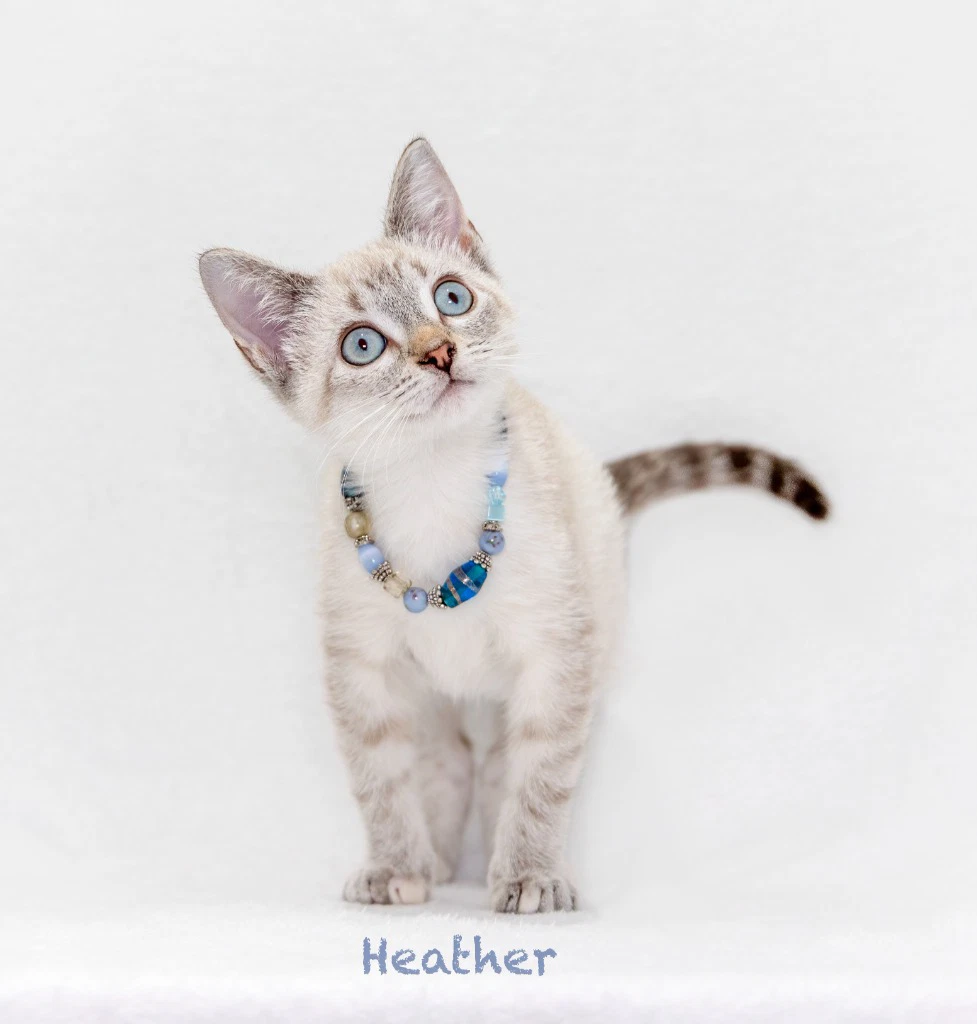 Heather
