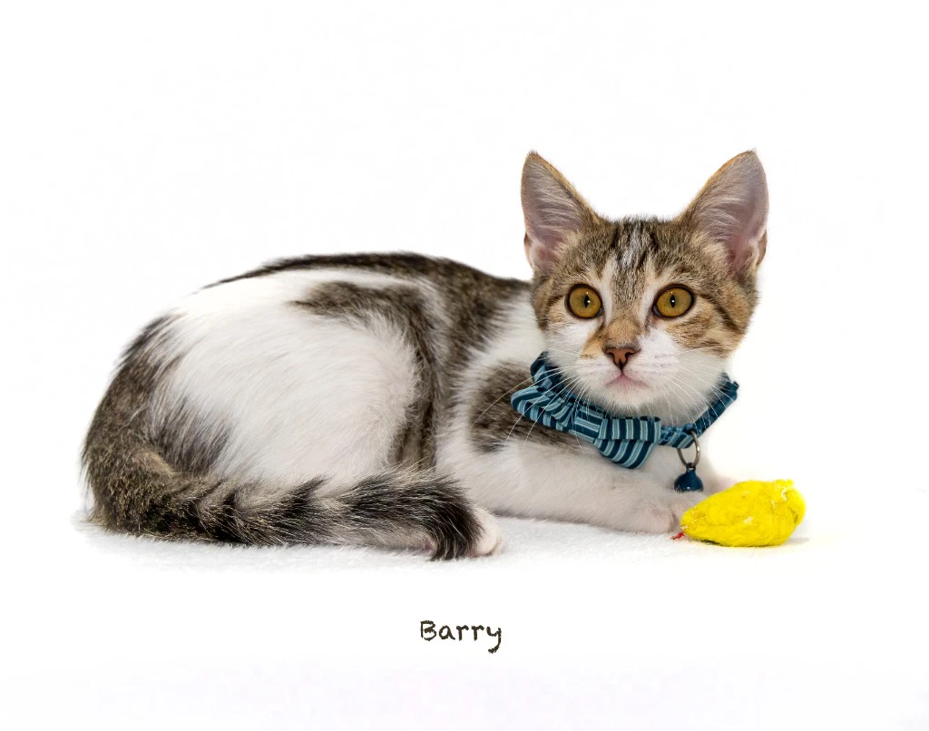 Barry