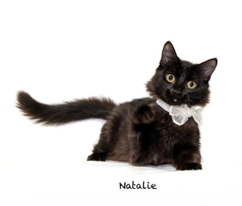 Photo 2 of Natalie