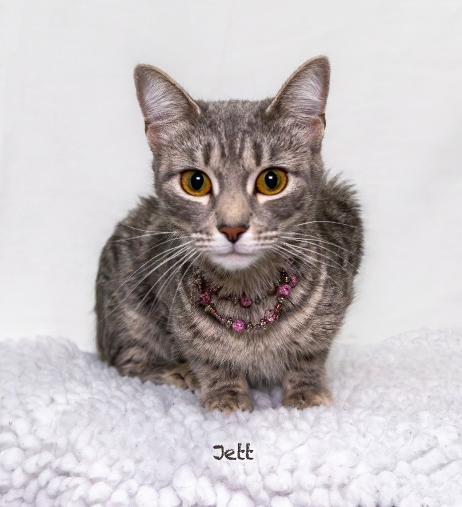 Jett