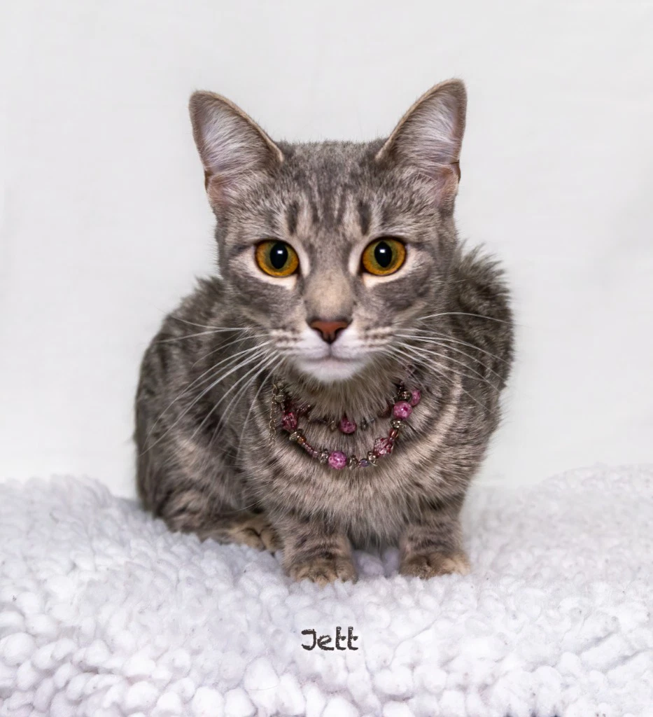 Jett