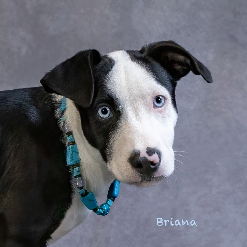 Briana