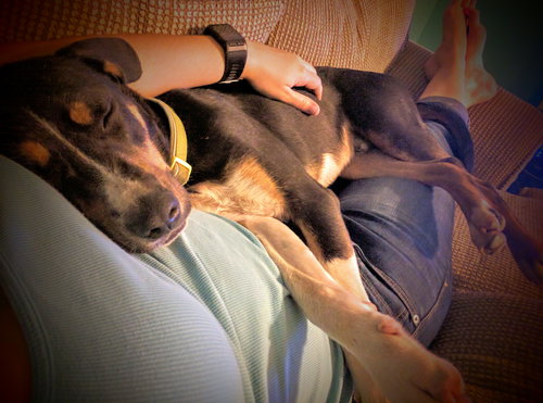 Petey