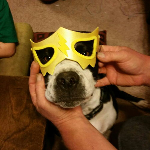 Gus