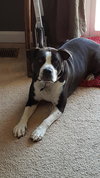 Gus