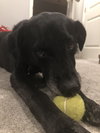 Wilson