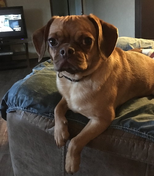 Lyla