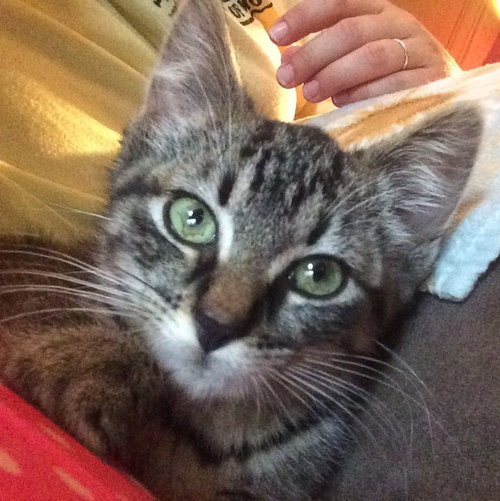 Luna